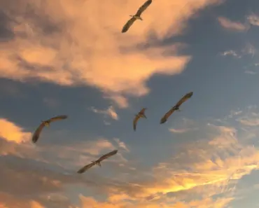 France orders all government ministries to ditch Windows for Linux in digital sovereignty push