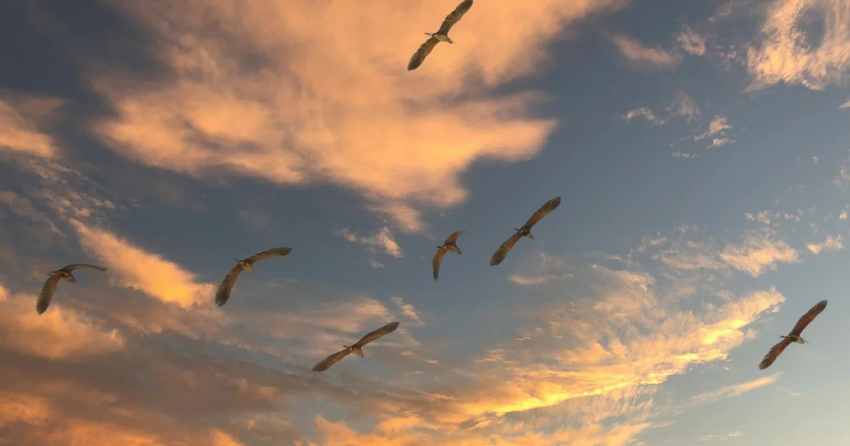 windows to linux migration