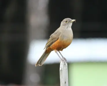 13 Things You Never Knew Were Actually Another Side of the Same Coin