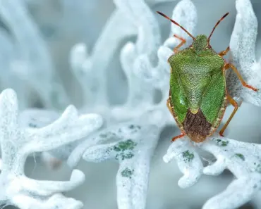 “7 Devastating Examples of How a Single Line of TF2 Code Ruined Simple Features Forever”