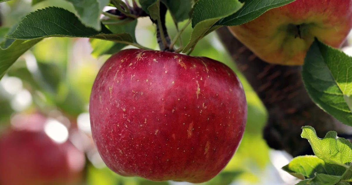 apple airtag deals