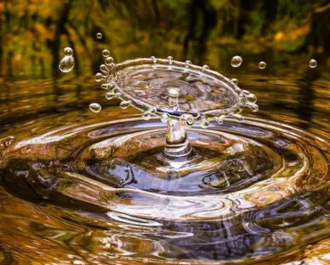 “11 Jaw-Dropping Moments Captured in the Astonishing iPhone Video of Earth Setting Behind…