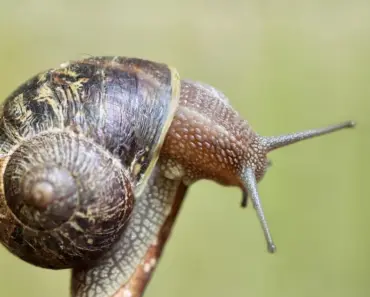 Handy Uses For Smart Sensors You Probably Didn’t Think Of