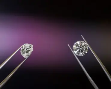 Startups Says They Grew Human Sperm in Lab for Surprising Fertility Breakthrough