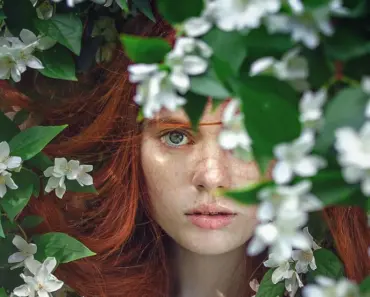 The Shrouded Truth: 7 Reasons Why Fog’s Mystique May Be Disappearing Forever