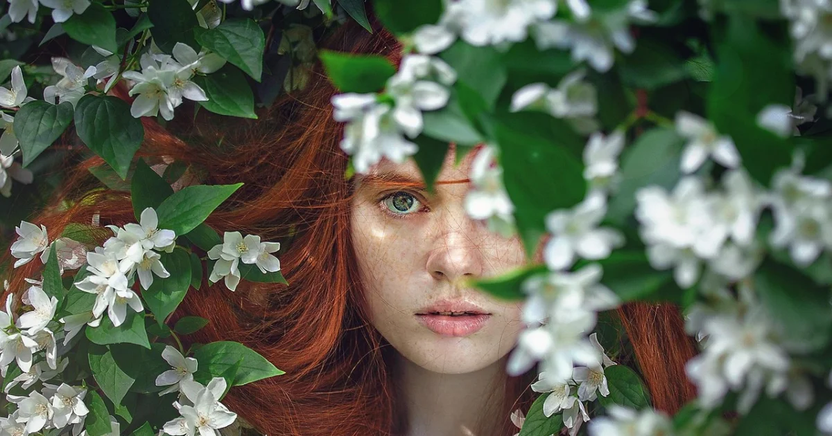 fog mystique disappears