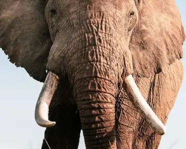 AirTrunk enters India by acquiring Lumina CloudInfra