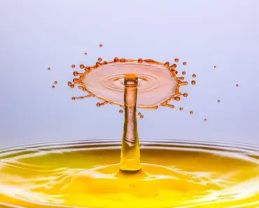 11 Essential Features of Google ADK for Java 1.0 You Need to Know