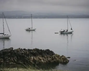 In the UK, EVs are cheaper than petrol cars, thanks to Chinese competition