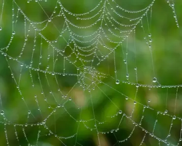 10 Tricks for Making Dart:ui_web Compile in Flutter Tests with Ease