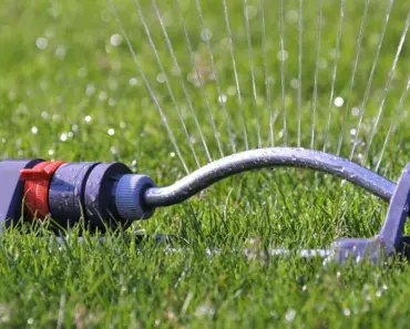 How To Know When It’s Time To Turn On Your Lawn Sprinklers This Spring