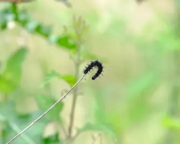 7 Secret Updates in Apple’s Latest iOS 26.4.2 Release for iPhone Owners