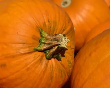 5 Surprising Things We Liked, and 3 Things We Didn’t, About Invincible Season 4