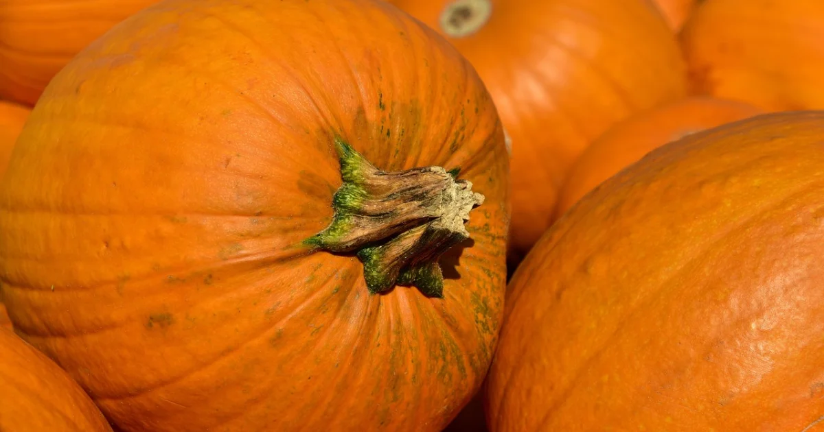 5 Surprising Things We Liked, and 3 Things We Didn’t, About Invincible Season 4