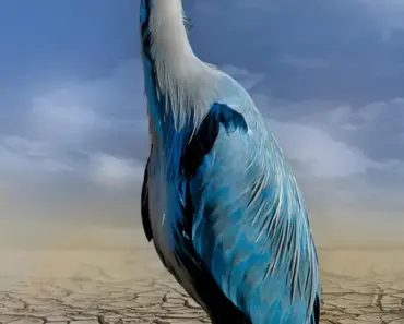 “11 Ways I Built an Interactive Climate Simulator Where You Control Earth’s Fate”