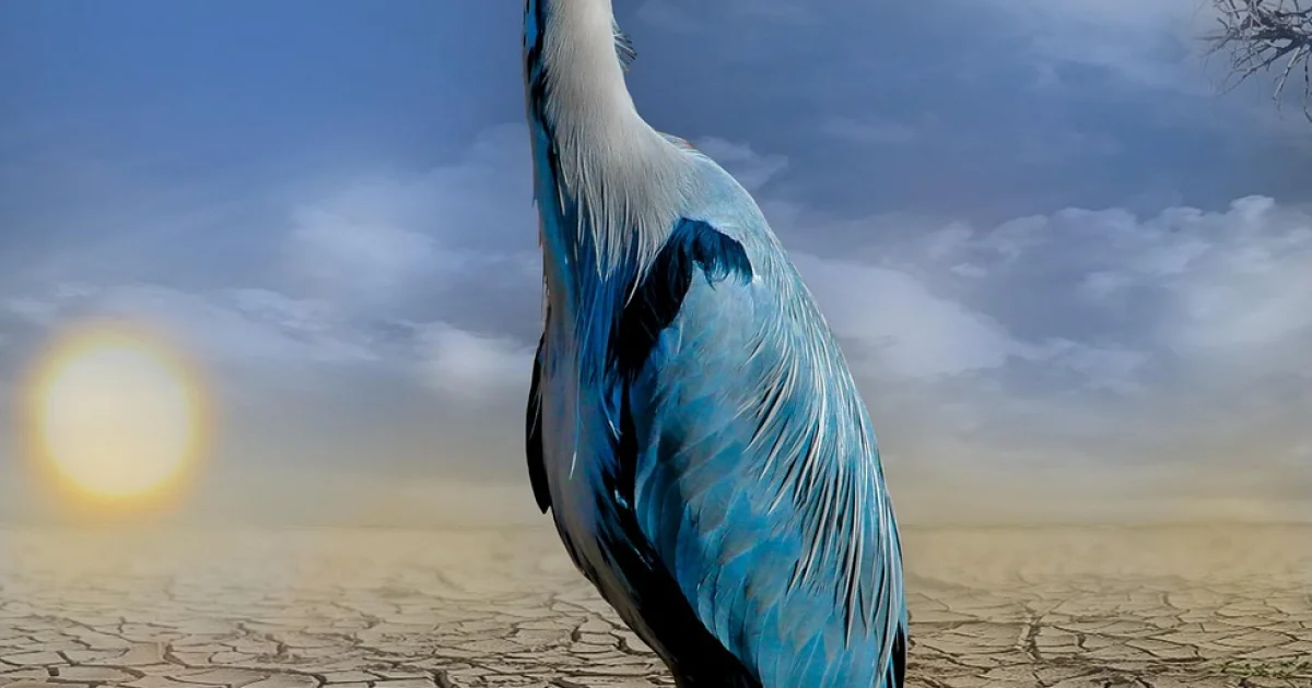 interactive climate simulator