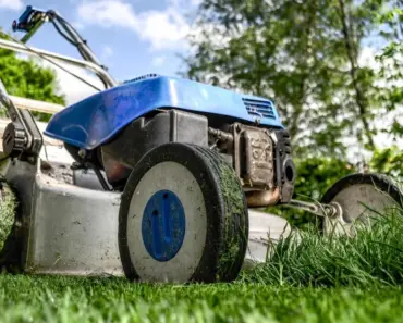 Beehiiv Revolutionizes Creator Ecosystem with 9 Game-Changing Tools