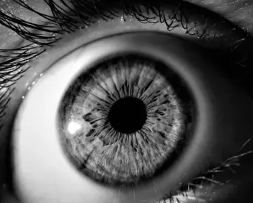 Sam Altman’s Creepy Eyeball-Scanning Company Gets in Bed With Zoom and Tinder