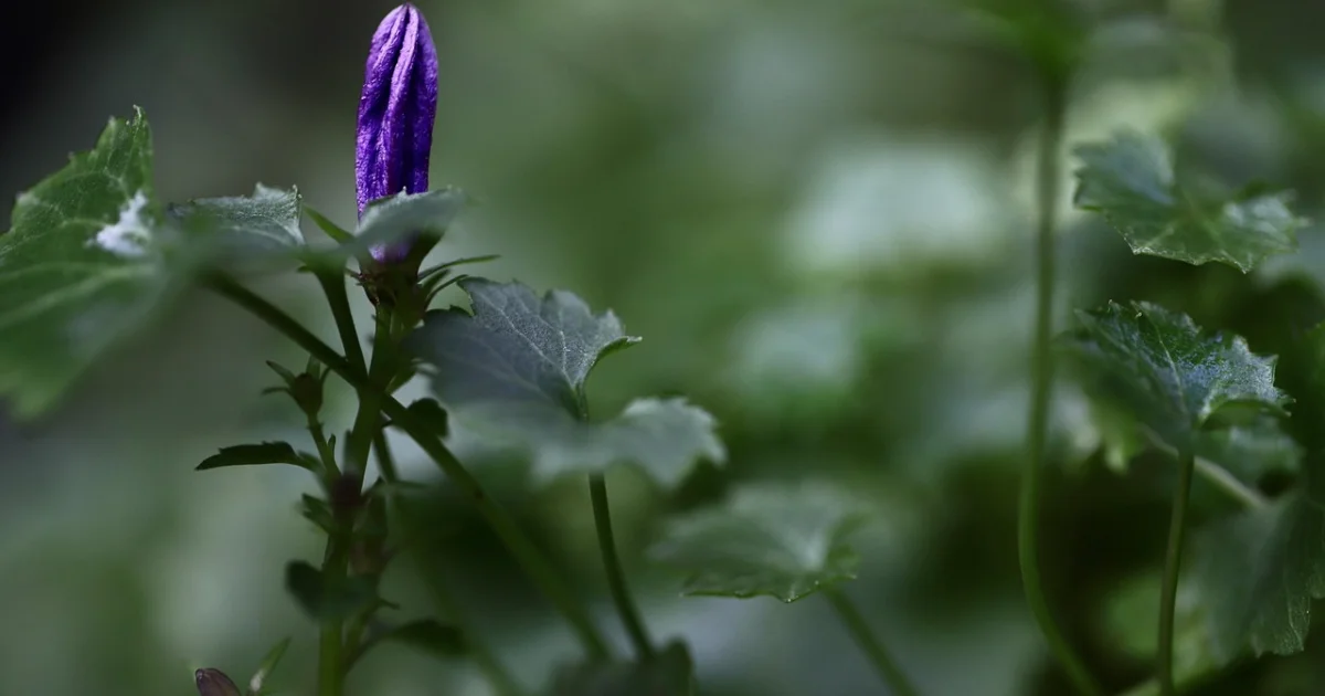 early investments in ai