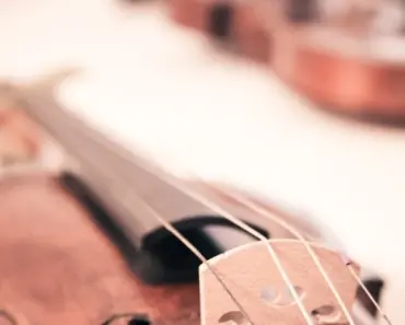 Reasons Why Mastering AI Model Fine-Tuning Will Revolutionize Your Training in 2026