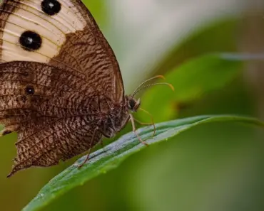 5 Cloud-Native Banking Event-Driven Patterns That Succeed (and 3 That Don’t)