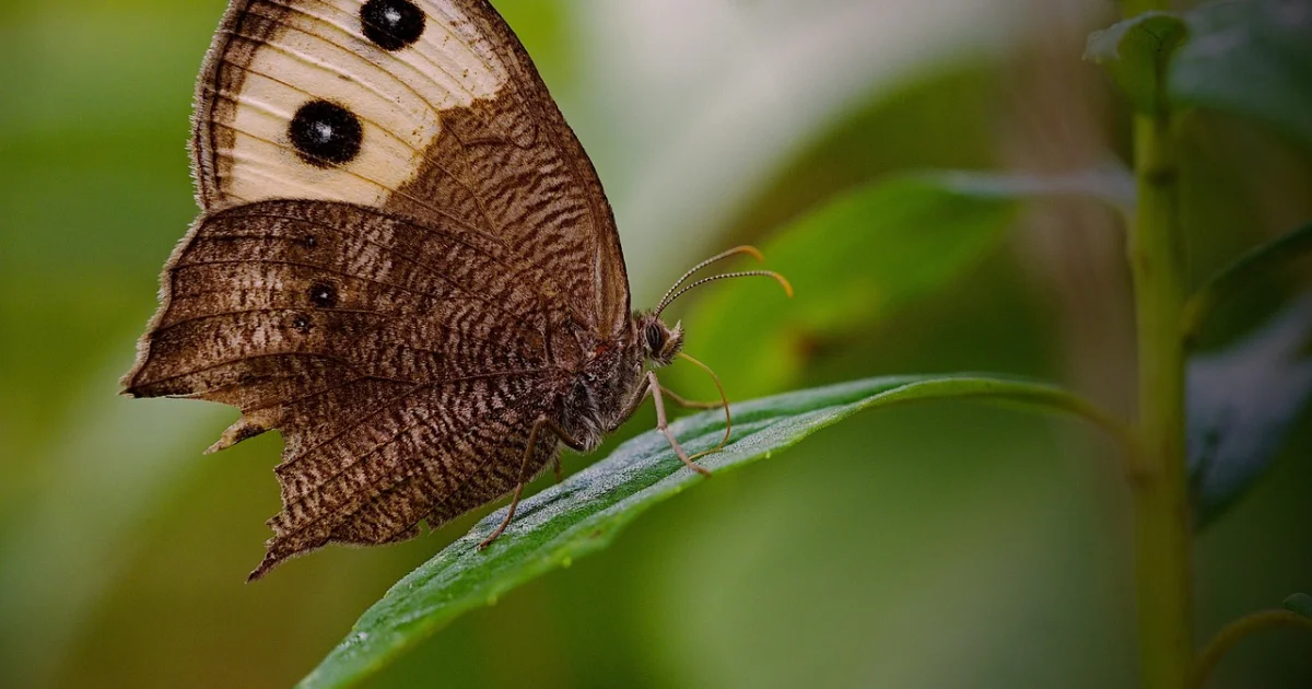 cloud native banking patterns