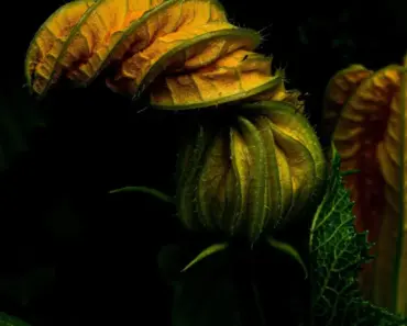 The Hidden Cost of Complexity: 7 Reasons You’re Paying a Swarm Tax for AI Solutions