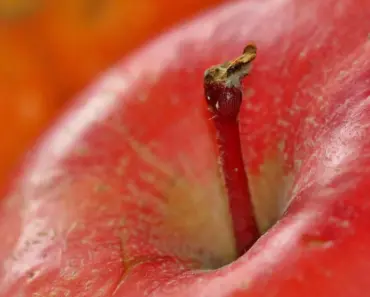 Apple Slammed with World’s Largest Antitrust Fine, Faces $22 Billion Hit