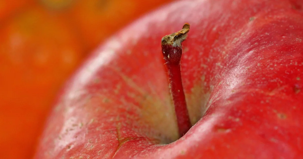 apple antitrust fine